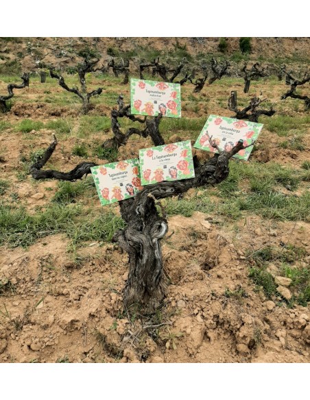 TUPINAMBURGA DANS LES VIGNES. BRINS EDICIONS