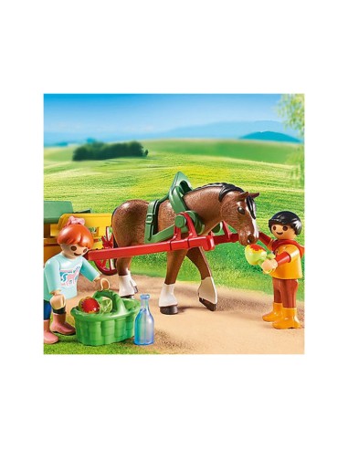 6932 PLAYMOBIL COUNTRY CARRUAJE Y CABALLO.