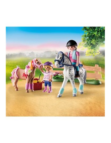 71259 PLAYMOBIL COUNTRY STARTER PACK CURA DE...